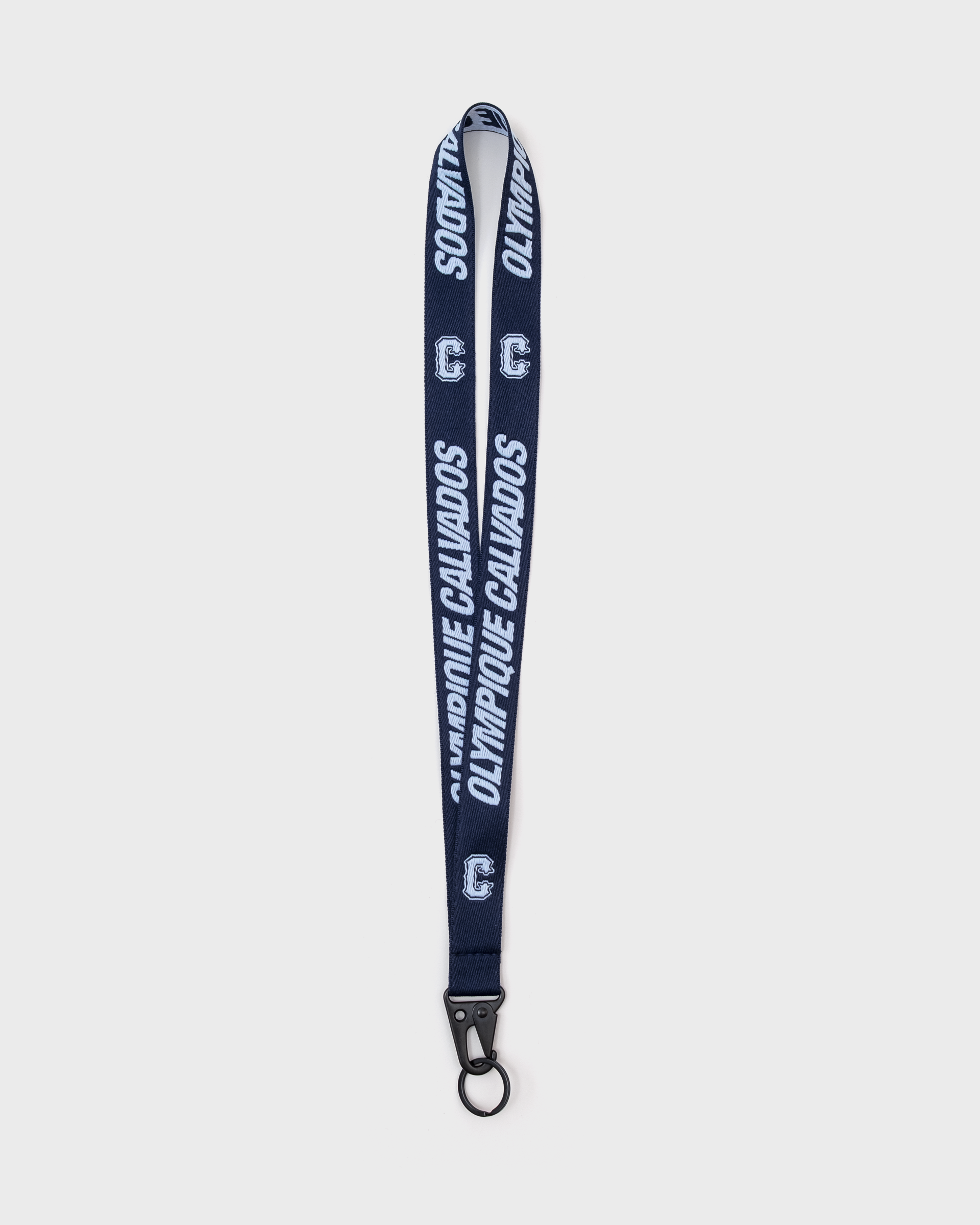 Lanyard